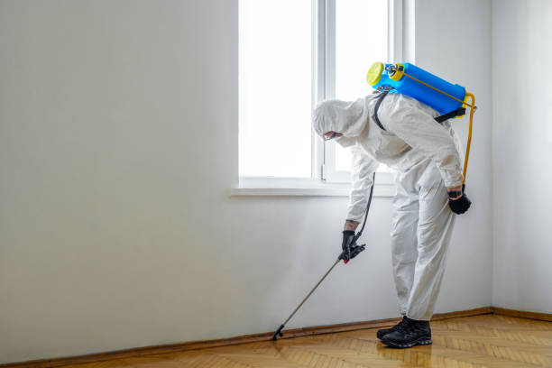 Best Residential Pest Control  in Milam, TX